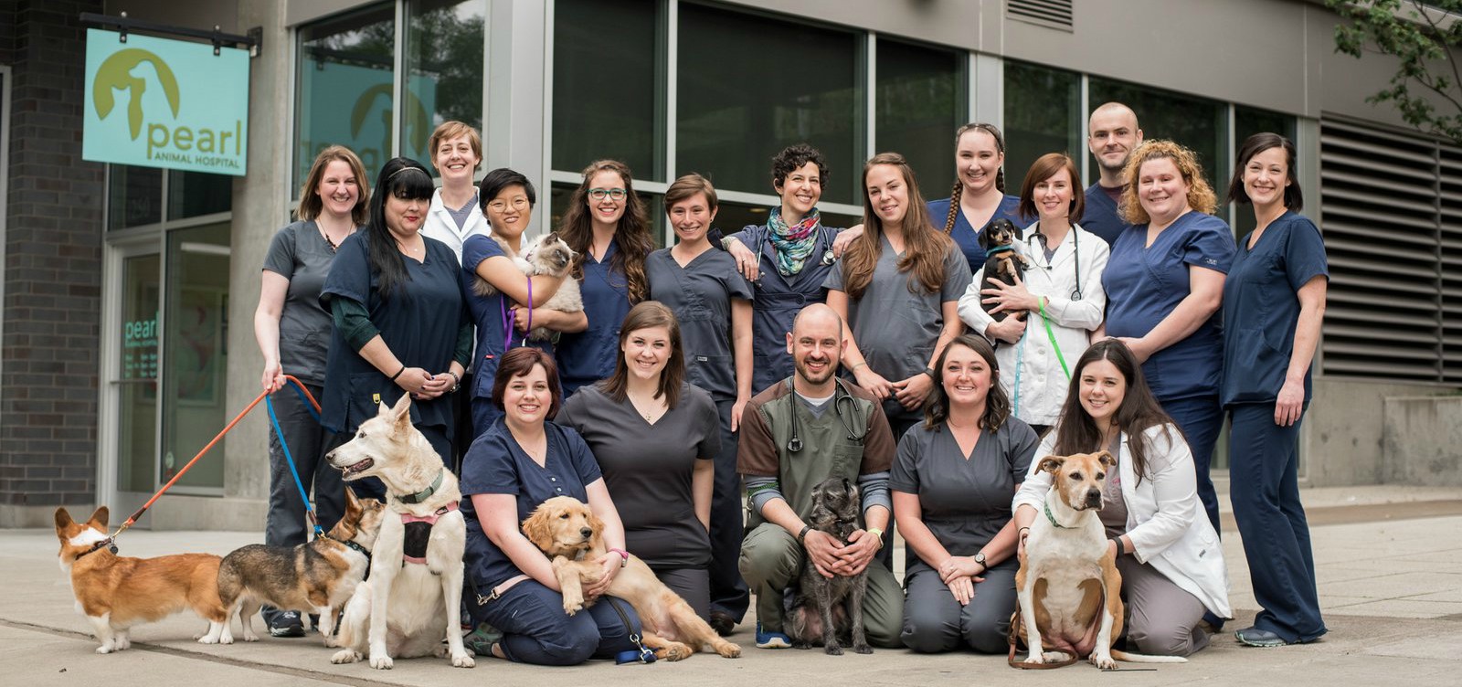 Veterinarians, technicians, and staff at Pearl Animal Hospital